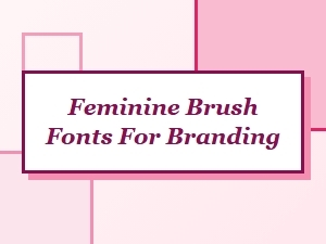 Discover Feminine Brush Fonts for Your Brand