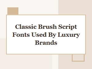 The Art of Luxury: Traditional Brush Script Fonts